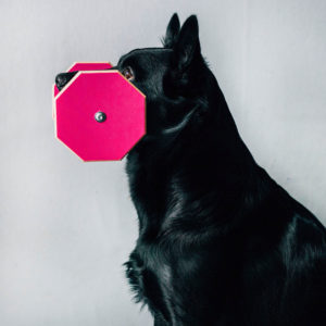 Apporten i storlek extra large