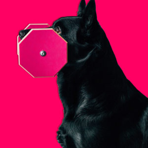 Apporten i storlek extra large