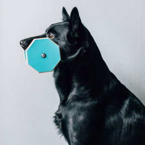 Apporten i storlek large