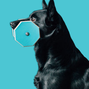 Apporten i storlek large