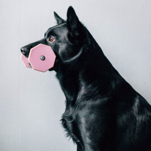 Apporten i storlek medium