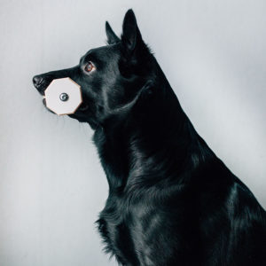 Apporten i storlek small