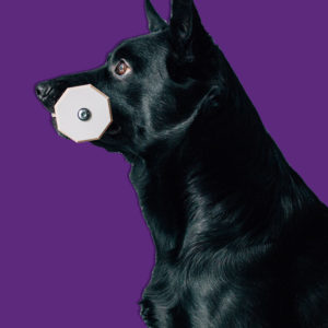 Apporten i storlek small