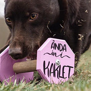 Textad apport från LG Apporter