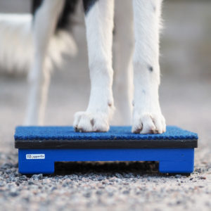 Träningsplattform från LG Apporter